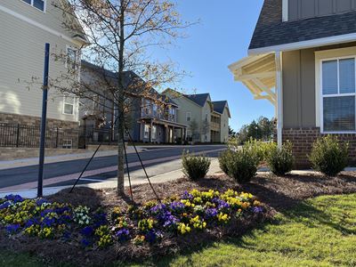 Lewis House Neighborhood
